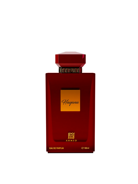 Hayana by Ahmed Al Maghribi